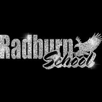 GLT1 SILVER GLITTER Thumbnail